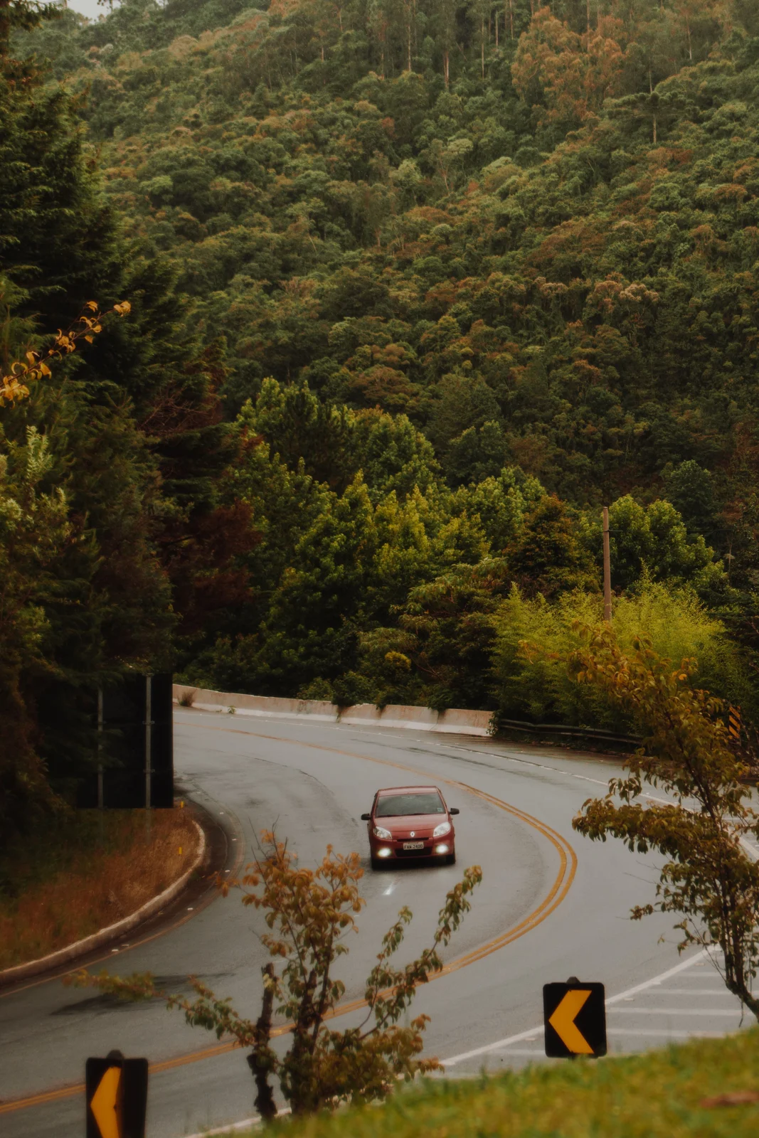 Carro em uma estrada sinuosa cercada por vegetação