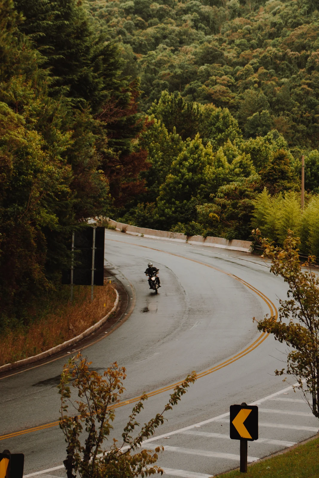 Motociclista em estrada entre árvores